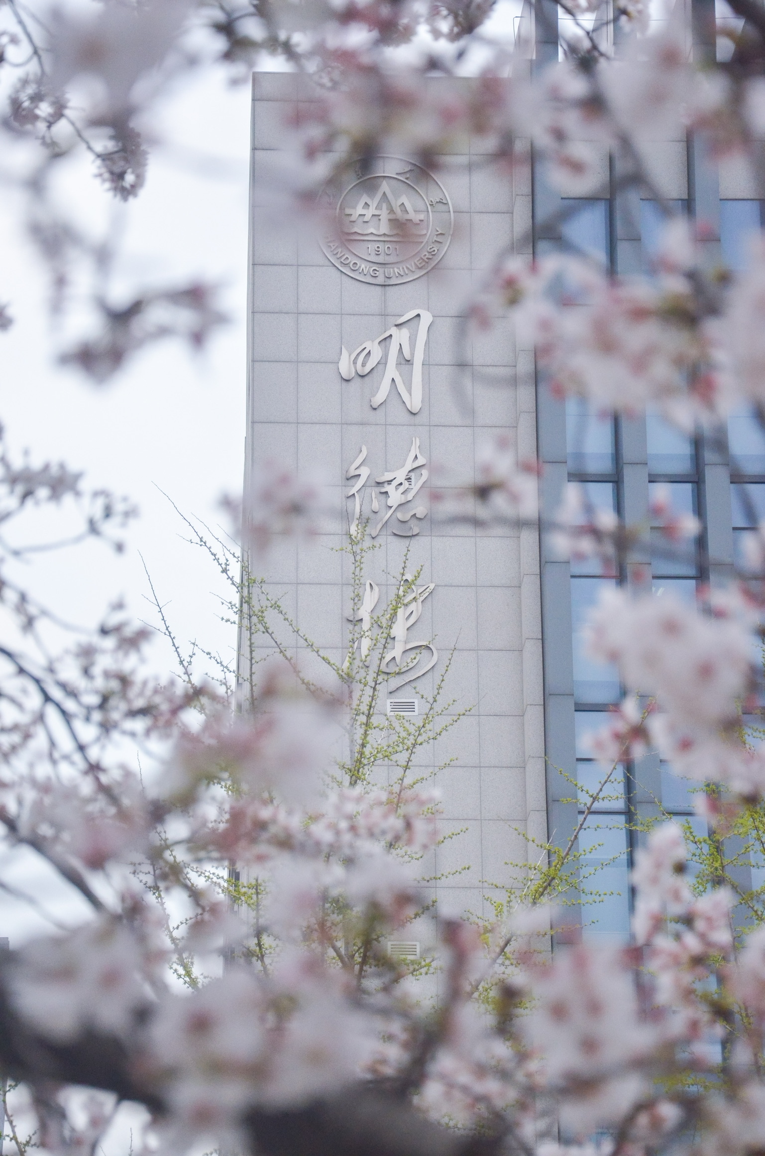 7m足球完场比分