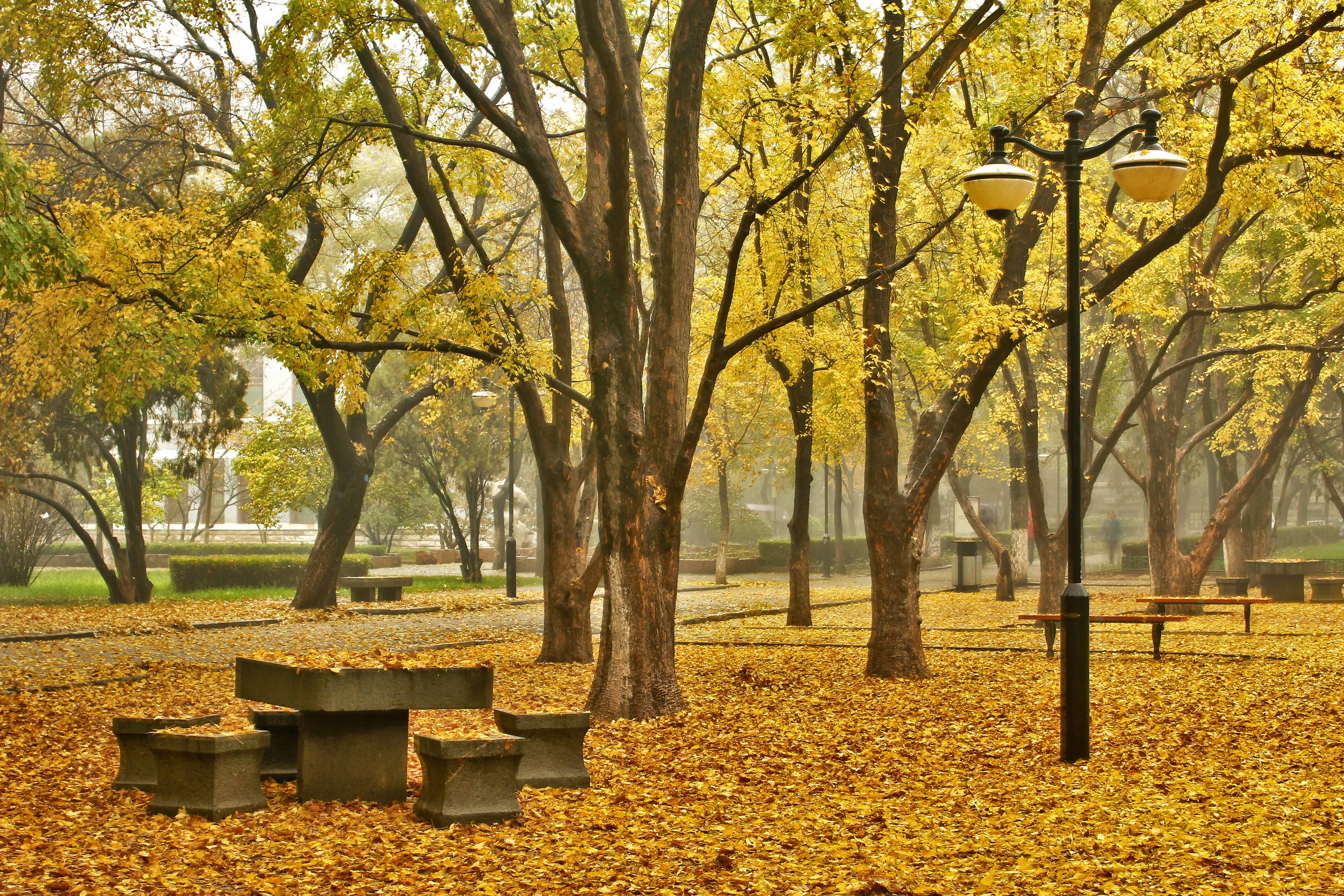 7m足球完场比分